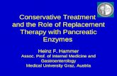Conservative Treatment  and the Role of Replacement Therapy with Pancreatic Enzymes