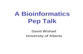 A Bioinformatics Pep Talk