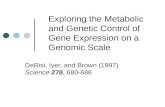 Exploring the Metabolic and Genetic Control of Gene Expression on a Genomic Scale
