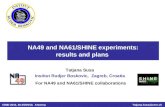 NA49 and NA61/SHINE experiments: results and plans