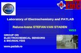 GROUP ON ELECTROCHEMICAL SENSORS & BIOANALYSIS patlab.ro