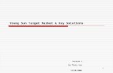 Young Sun Target Market & Key Solutions
