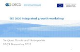 SEE 2020  Integrated growth workshop