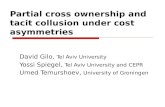 Partial cross ownership and tacit collusion under cost asymmetries