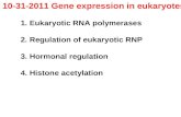10-31-2011 Gene expression in eukaryotes 1. Eukaryotic RNA polymerases
