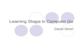 Learning Shape in Computer Go