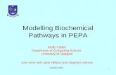 Modelling Biochemical Pathways in PEPA