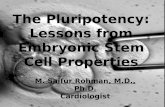 The  Pluripotency :  Lessons  from Embryonic Stem Cell Properties