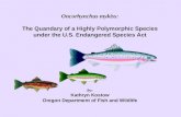Oncorhynchus mykiss : The Quandary of a Highly Polymorphic Species