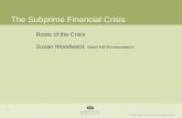 The Subprime Financial Crisis