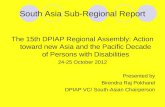 South Asia Sub-Regional Report