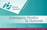 Company Profile   & Outlook