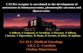 S.C.D.U. Medical Oncology  I.R.C.C. Candiolo Ordine Mauriziano