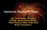 Savanna Research Page