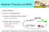 Hadron Physics at RHIC