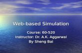 Web-based Simulation