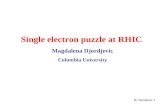 Single electron puzzle at RHIC Magdalena Djordjevic Columbia University