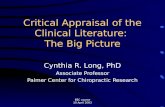 Critical Appraisal of the Clinical Literature:  The Big Picture