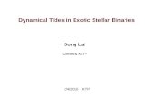 Dynamical Tides in Exotic Stellar Binaries
