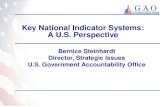 Key National Indicator Systems:   A U.S. Perspective