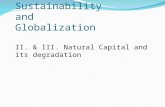 Sustainability  and  Globalization II. & III. Natural Capital and its degradation
