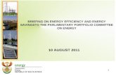 BRIEFING ON ENERGY EFFICIENCY AND ENERGY SAVINGSTO THE PARLIMENTARY PORTFOLIO COMMITTEE ON ENERGY