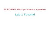 ELEC4601 Microprocessor systems Lab 1 Tutorial
