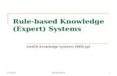Rule-based Knowledge (Expert) Systems