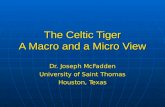 The Celtic Tiger A Macro and a Micro View