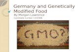 Germany and Genetically Modified Food