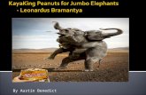 KayaKing  Peanuts for Jumbo Elephants        -  Leonardus Bramantya