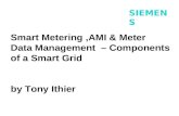 Smart Metering ,AMI & Meter  Data Management  – Components of a Smart Grid by Tony Ithier