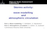 Storms activity : wave modelling  and atmospheric circulation