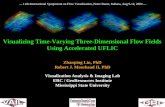 Visualizing Time-Varying Three-Dimensional Flow Fields Using Accelerated UFLIC