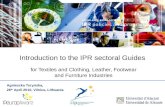 Introduction to the IPR sectoral Guides
