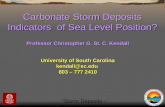 Carbonate Storm Deposits Indicators  of Sea Level Position?
