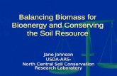 Balancing Biomass for Bioenergy and Conserving the Soil Resource