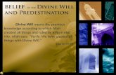 Four Pillar of Divine Will             and Predestination