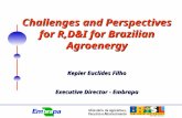 Challenges and Perspectives for R,D&I for Brazilian Agroenergy Kepler Euclides Filho