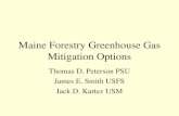 Maine Forestry Greenhouse Gas Mitigation Options