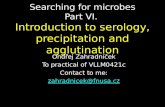 Searching for microbes Part VI.  Introduction to serology, precipitation and agglutination