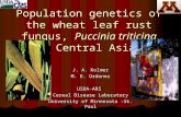 Population genetics of the wheat leaf rust fungus,  Puccinia triticina in Central Asia