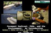 Pavement Sealcoat, PAHs, and the Environment:  An Introduction