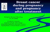Breast cancer during pregnancy and pregnancy after treatment