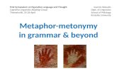 Metaphor-metonymy in grammar & beyond
