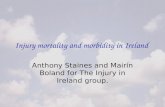 Injury mortality and morbidity in Ireland