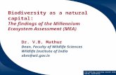 Biodiversity as a natural capital:  The findings of the Millennium Ecosystem Assessment (MEA)