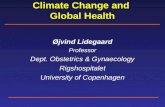 Climate Change and  Global Health
