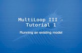 MultiLoop III - Tutorial 1