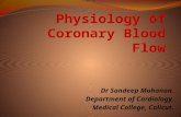 Physiology of Coronary Blood Flow